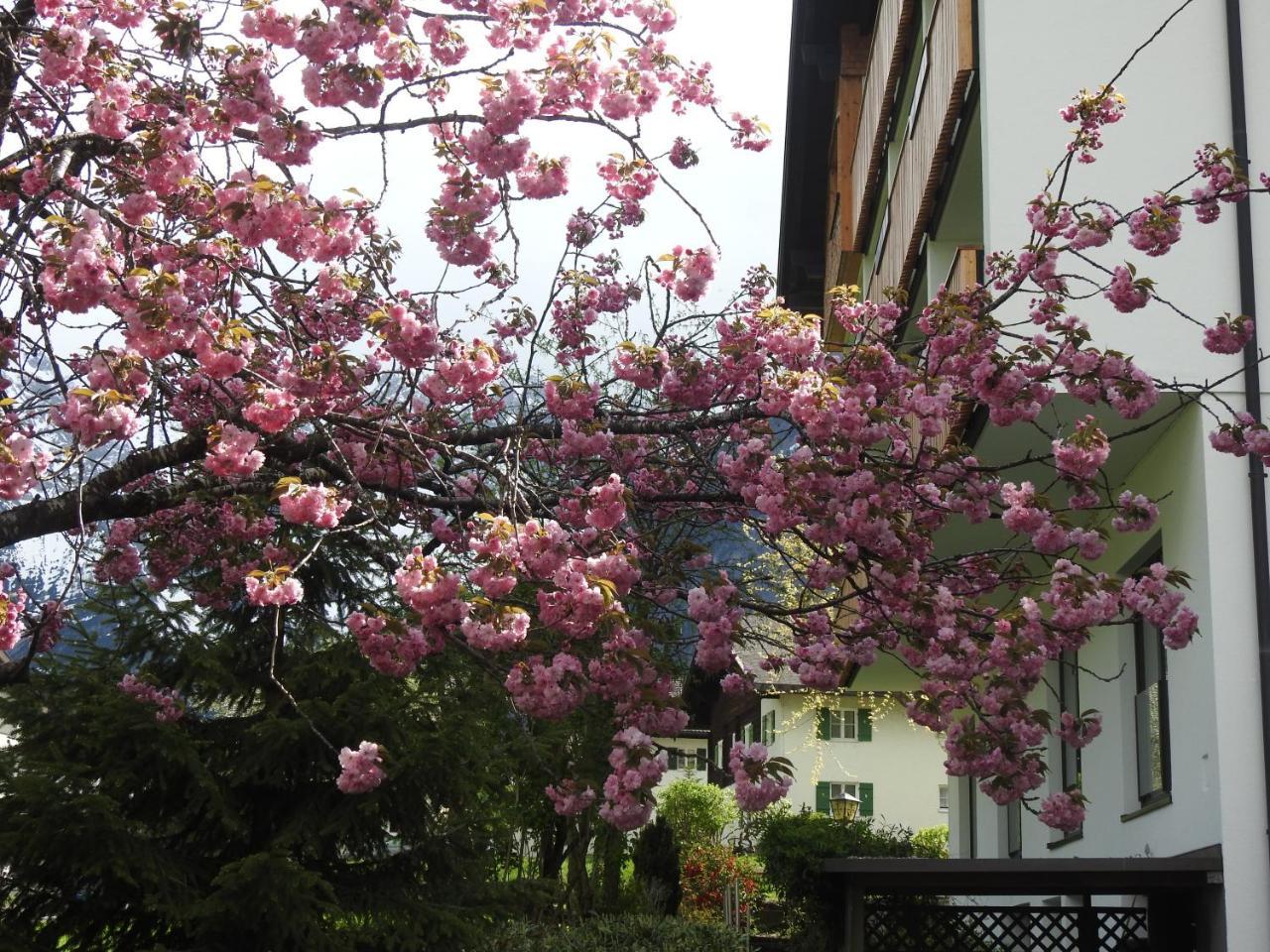 Hotel Garni Tannleger B&B บรานด์ ภายนอก รูปภาพ
